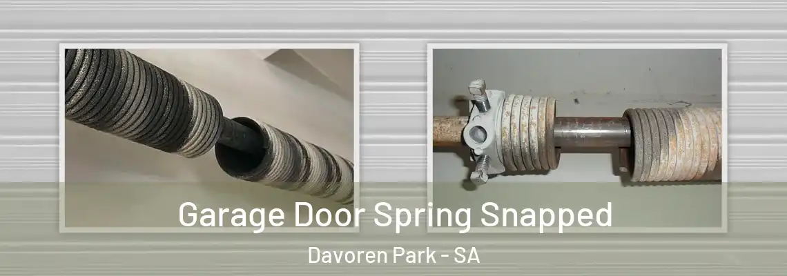  Garage Door Spring Snapped Davoren Park - SA