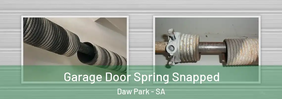  Garage Door Spring Snapped Daw Park - SA