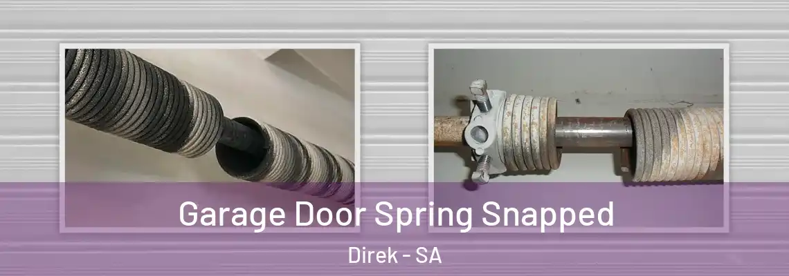  Garage Door Spring Snapped Direk - SA
