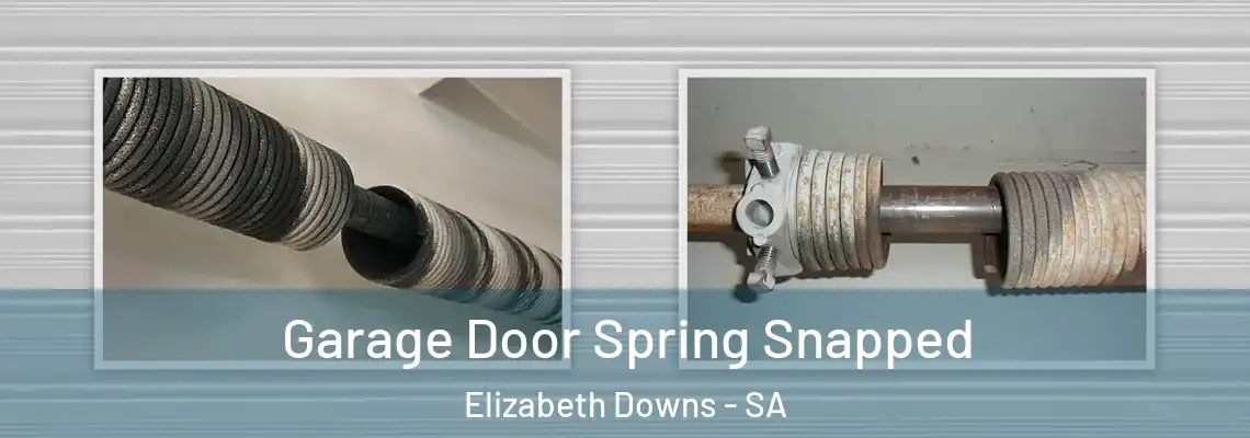  Garage Door Spring Snapped Elizabeth Downs - SA