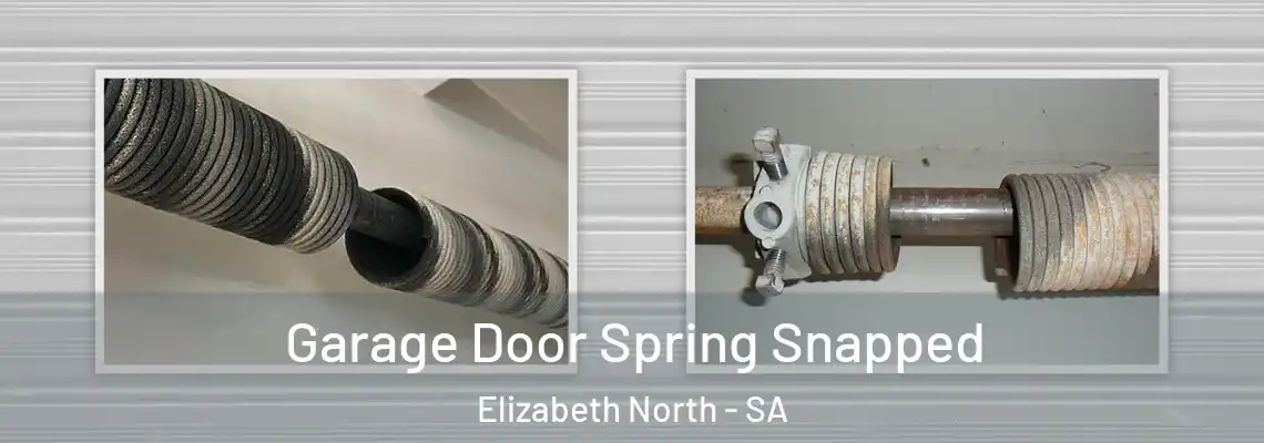  Garage Door Spring Snapped Elizabeth North - SA