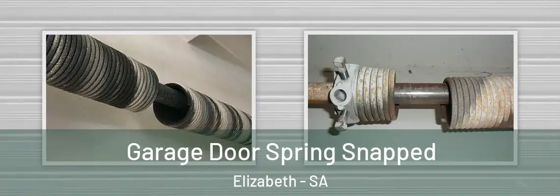  Garage Door Spring Snapped Elizabeth - SA