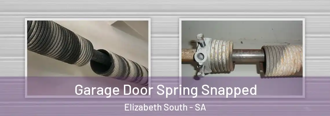  Garage Door Spring Snapped Elizabeth South - SA