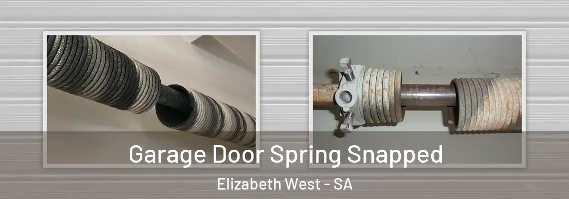  Garage Door Spring Snapped Elizabeth West - SA