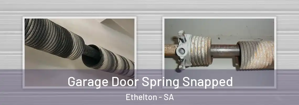  Garage Door Spring Snapped Ethelton - SA