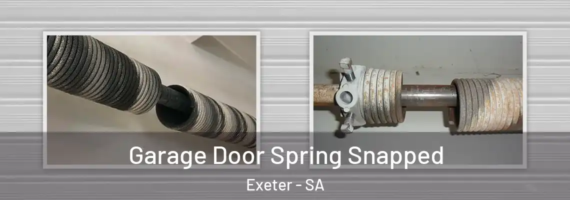  Garage Door Spring Snapped Exeter - SA