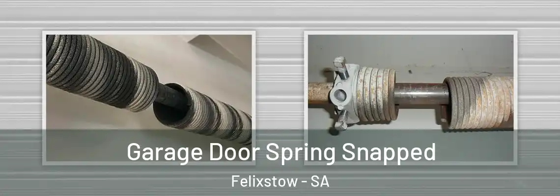  Garage Door Spring Snapped Felixstow - SA