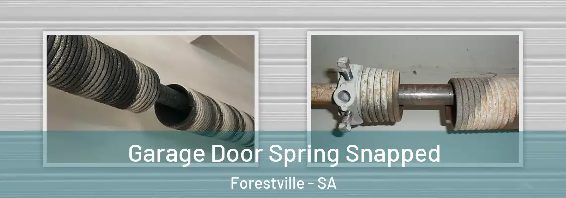  Garage Door Spring Snapped Forestville - SA