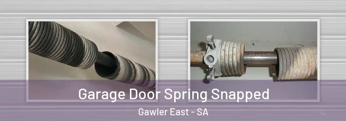  Garage Door Spring Snapped Gawler East - SA