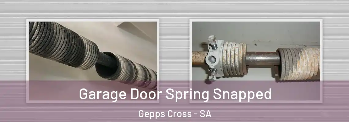  Garage Door Spring Snapped Gepps Cross - SA