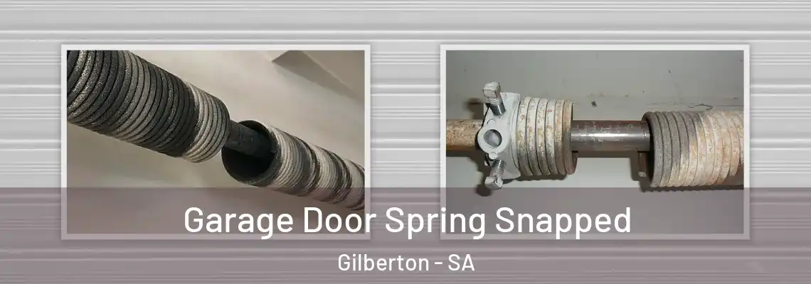  Garage Door Spring Snapped Gilberton - SA