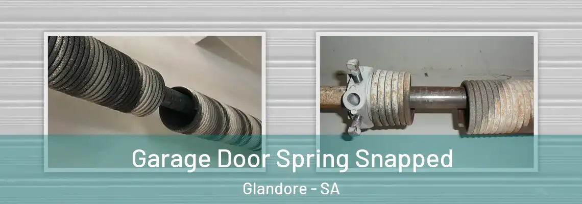  Garage Door Spring Snapped Glandore - SA