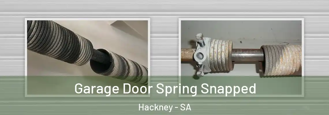  Garage Door Spring Snapped Hackney - SA
