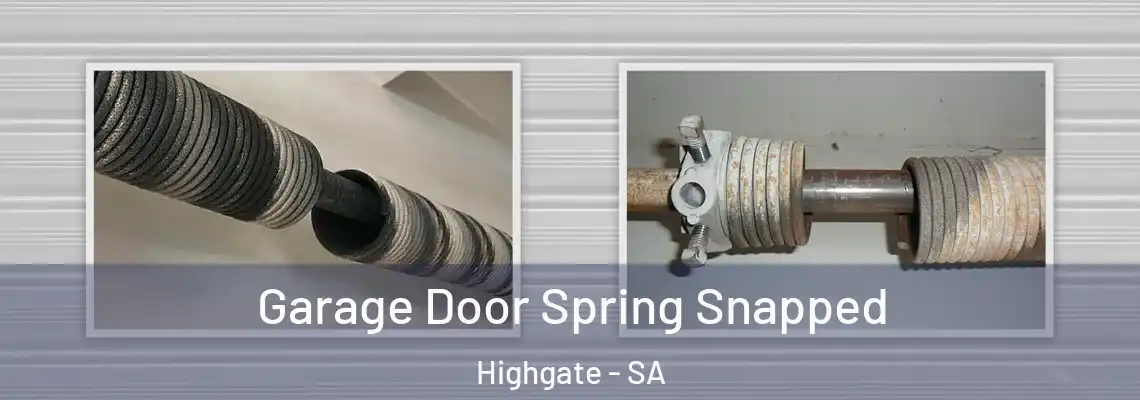  Garage Door Spring Snapped Highgate - SA
