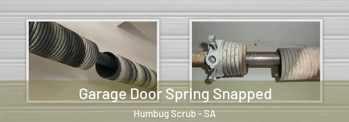  Garage Door Spring Snapped Humbug Scrub - SA