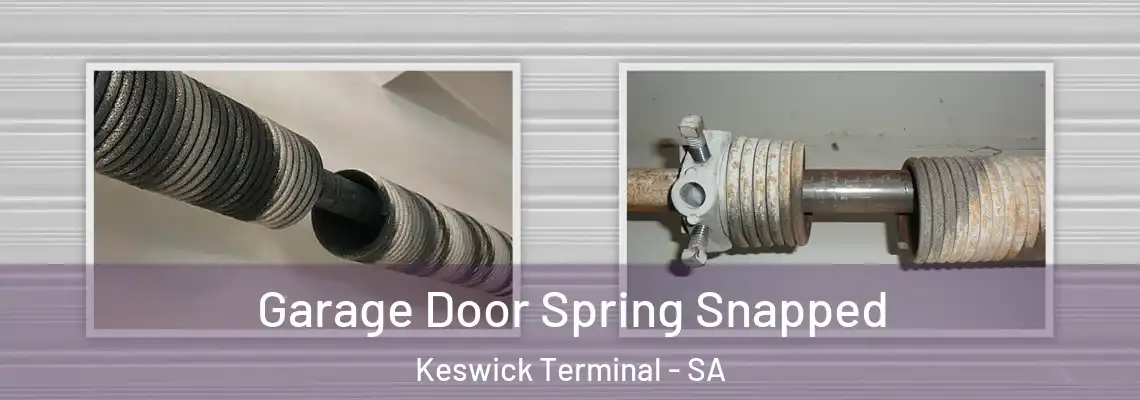  Garage Door Spring Snapped Keswick Terminal - SA