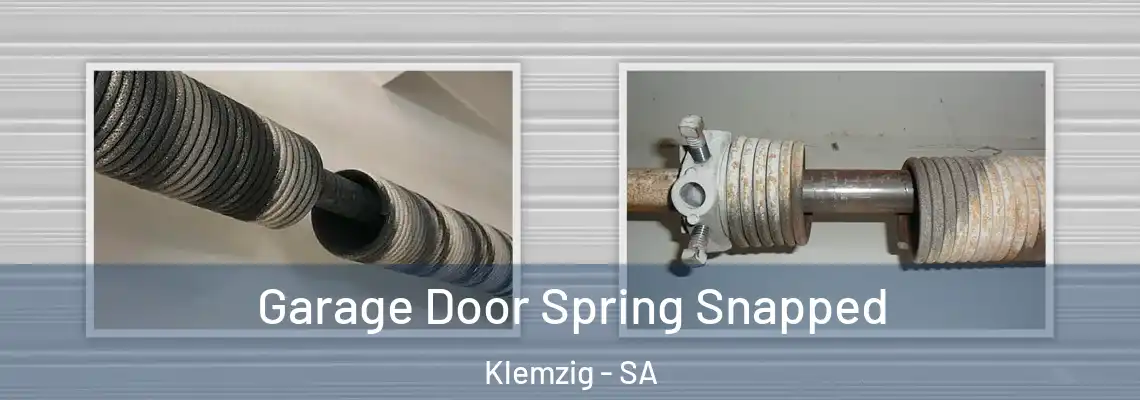  Garage Door Spring Snapped Klemzig - SA
