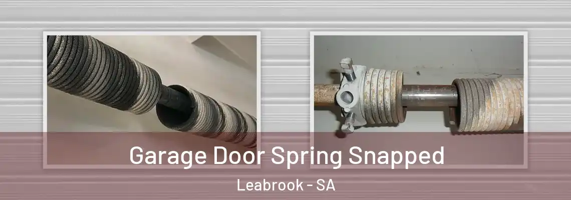  Garage Door Spring Snapped Leabrook - SA