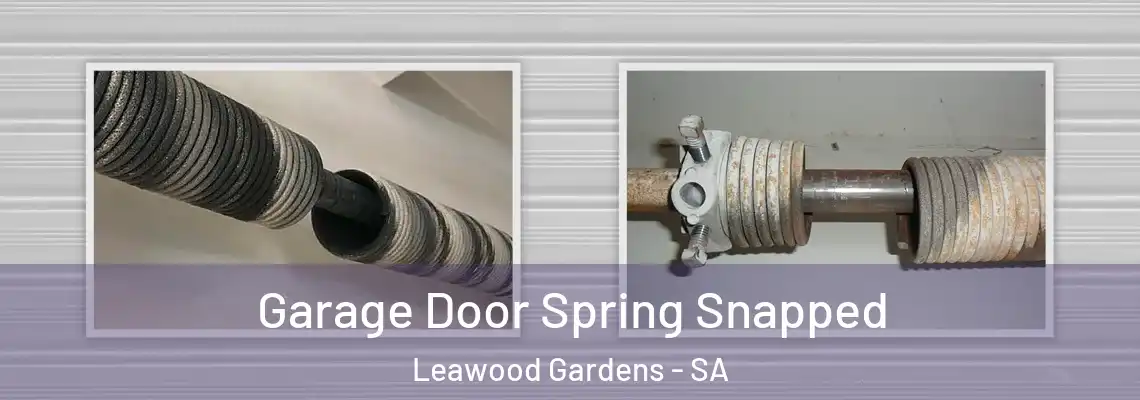  Garage Door Spring Snapped Leawood Gardens - SA