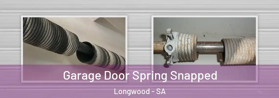  Garage Door Spring Snapped Longwood - SA