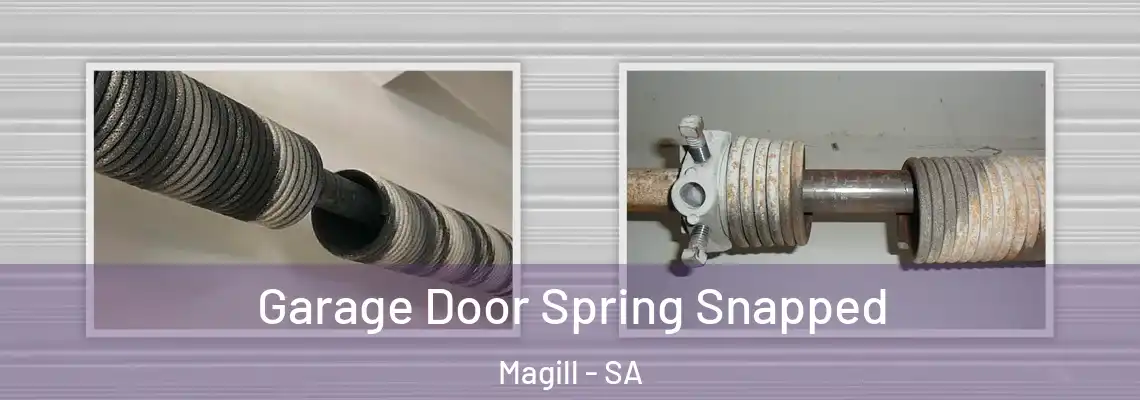  Garage Door Spring Snapped Magill - SA