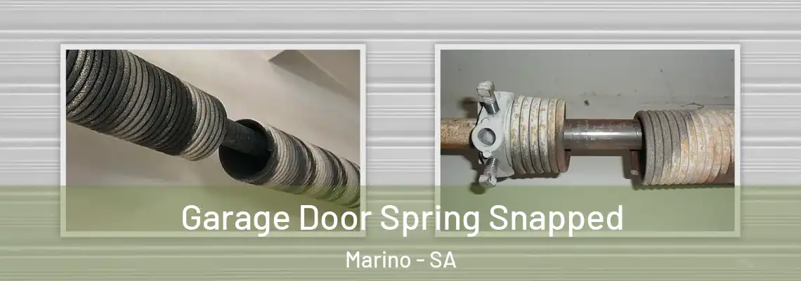  Garage Door Spring Snapped Marino - SA
