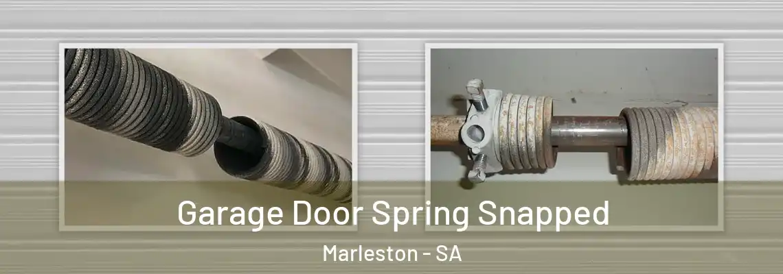  Garage Door Spring Snapped Marleston - SA
