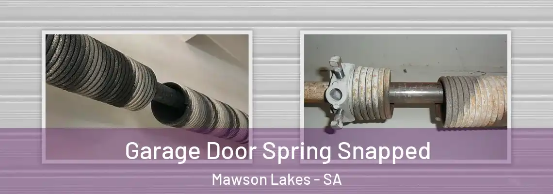  Garage Door Spring Snapped Mawson Lakes - SA