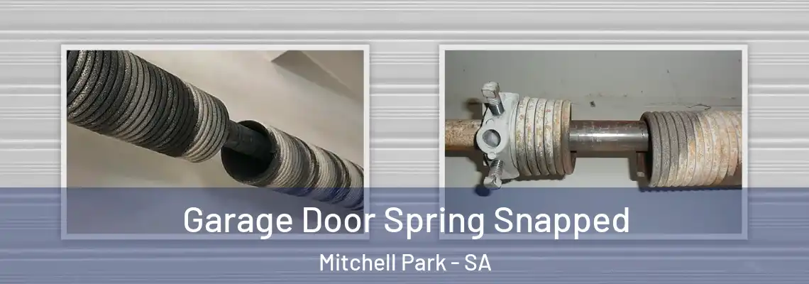  Garage Door Spring Snapped Mitchell Park - SA
