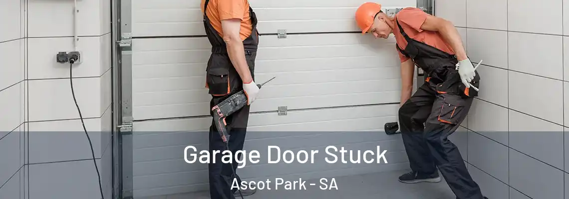  Garage Door Stuck Ascot Park - SA