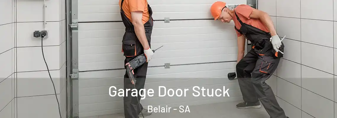  Garage Door Stuck Belair - SA