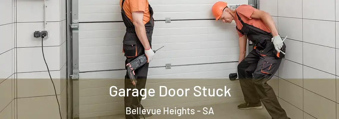  Garage Door Stuck Bellevue Heights - SA