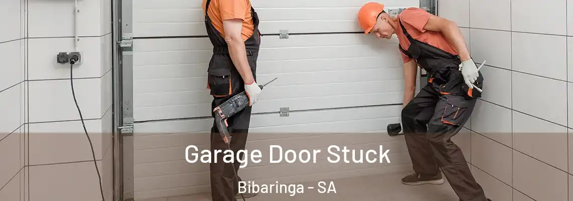  Garage Door Stuck Bibaringa - SA
