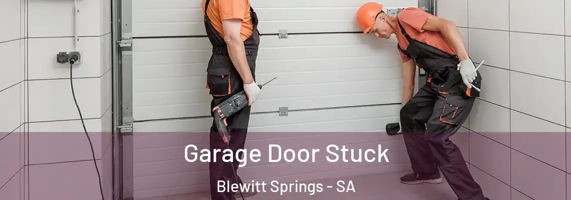  Garage Door Stuck Blewitt Springs - SA
