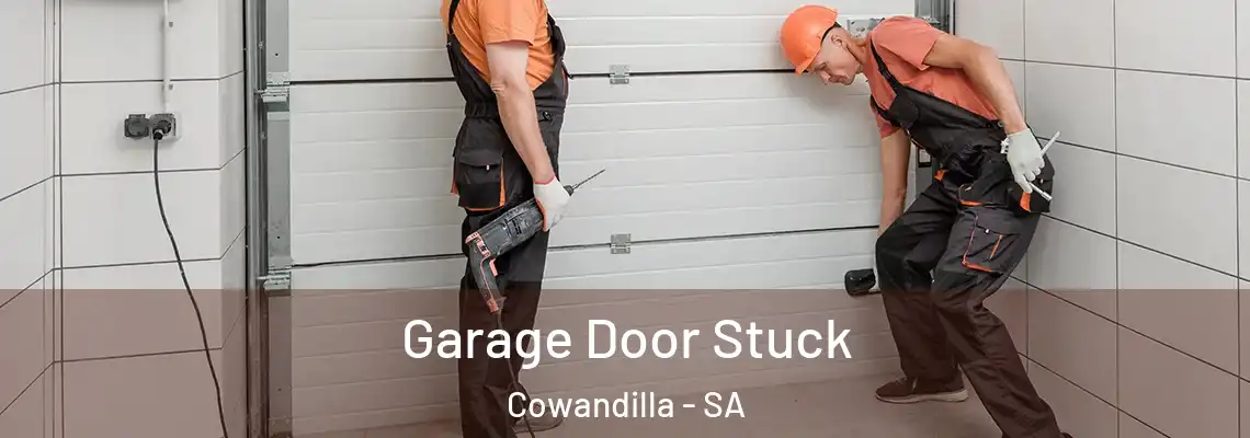  Garage Door Stuck Cowandilla - SA