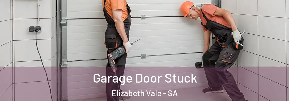  Garage Door Stuck Elizabeth Vale - SA