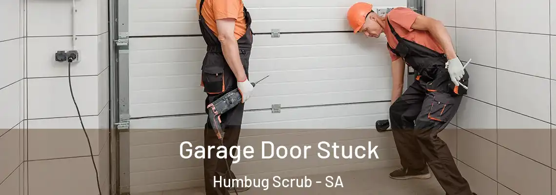  Garage Door Stuck Humbug Scrub - SA