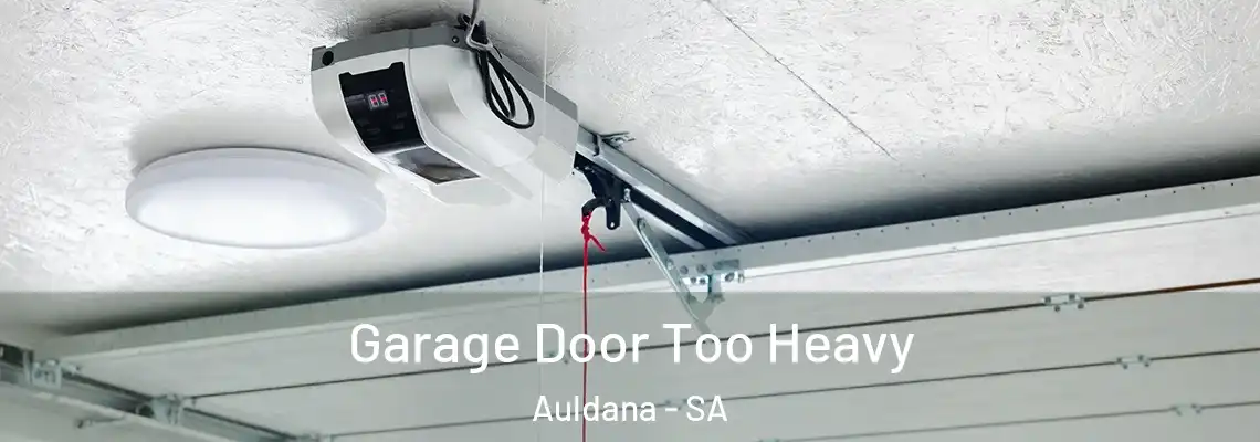  Garage Door Too Heavy Auldana - SA