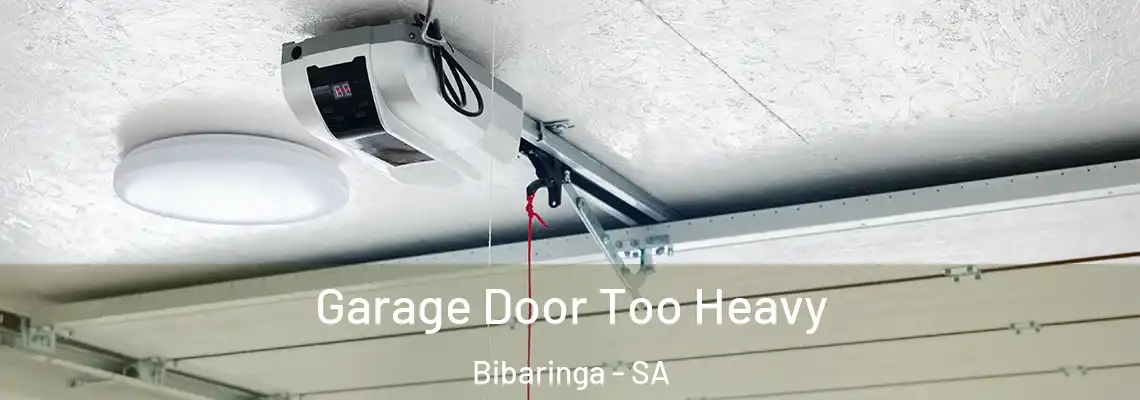  Garage Door Too Heavy Bibaringa - SA