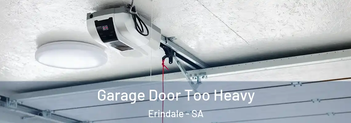  Garage Door Too Heavy Erindale - SA