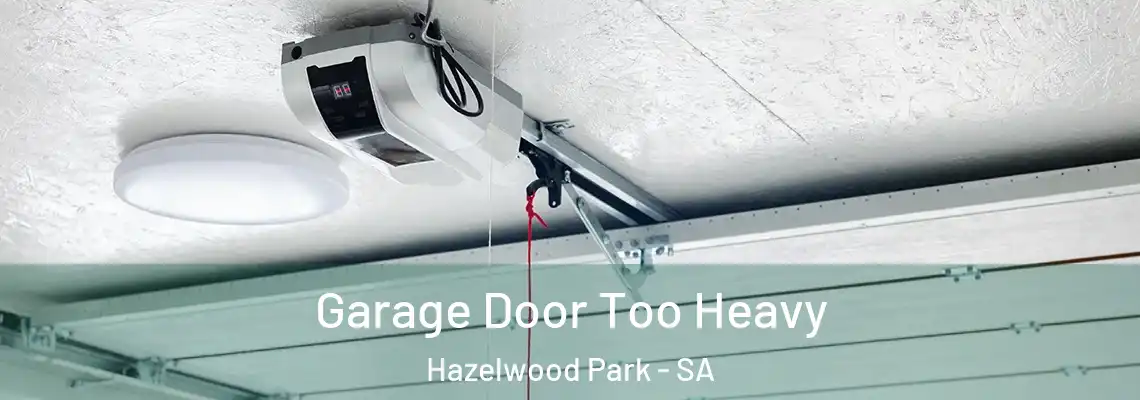  Garage Door Too Heavy Hazelwood Park - SA