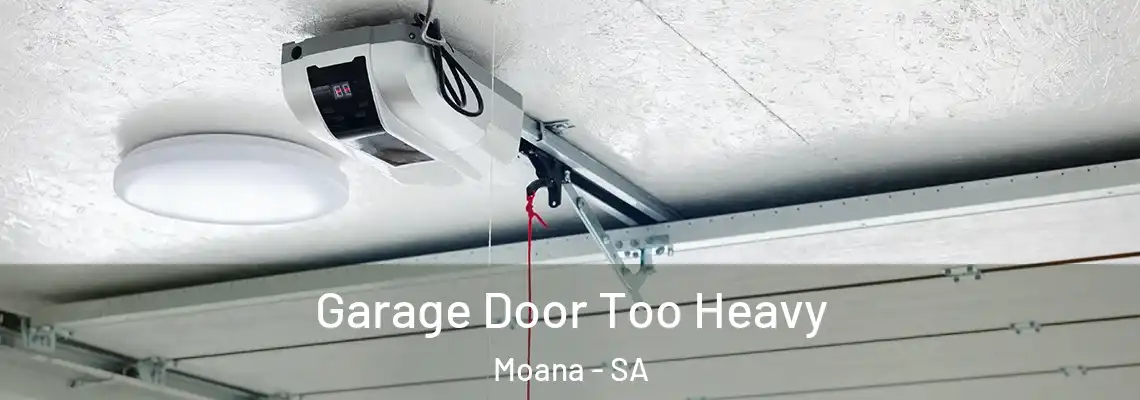  Garage Door Too Heavy Moana - SA