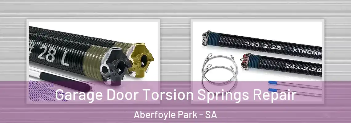  Garage Door Torsion Springs Repair Aberfoyle Park - SA