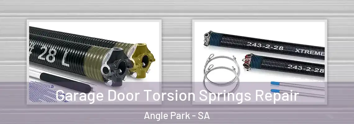  Garage Door Torsion Springs Repair Angle Park - SA