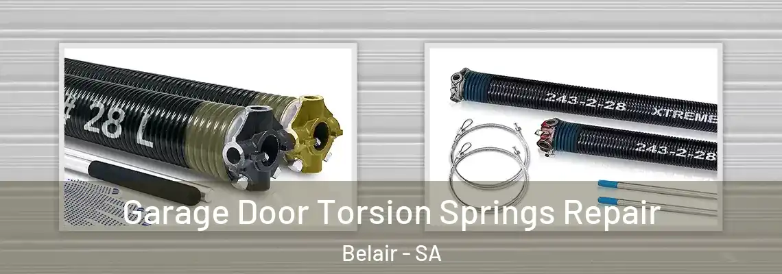 Garage Door Torsion Springs Repair Belair - SA