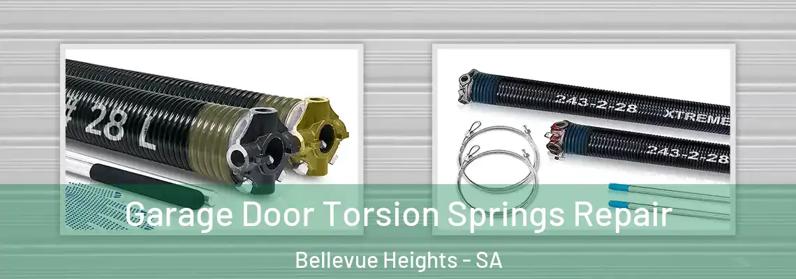  Garage Door Torsion Springs Repair Bellevue Heights - SA
