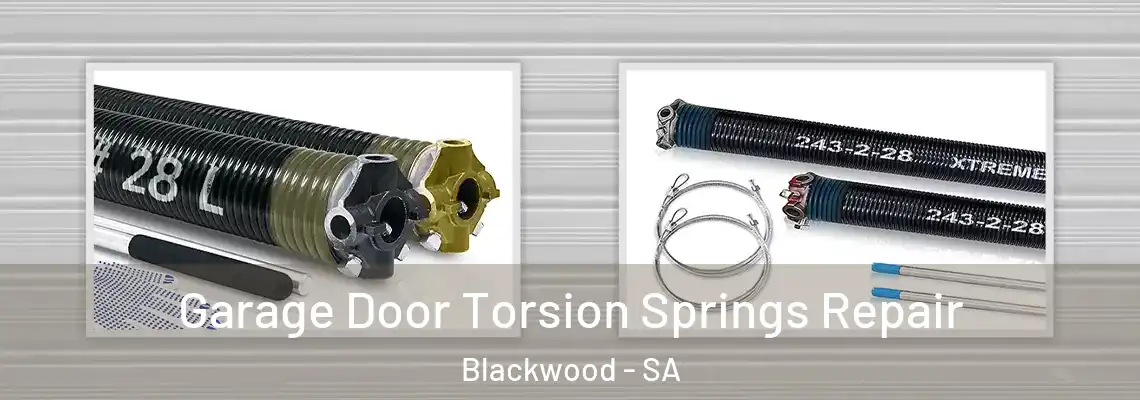 Garage Door Torsion Springs Repair Blackwood - SA