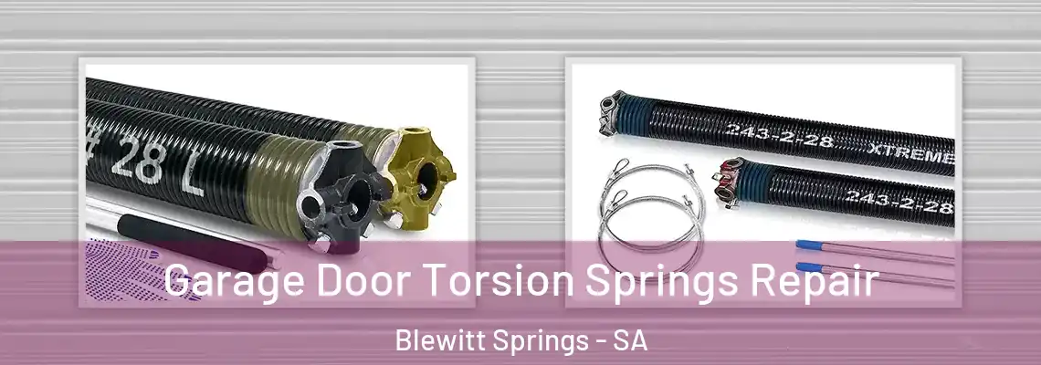  Garage Door Torsion Springs Repair Blewitt Springs - SA