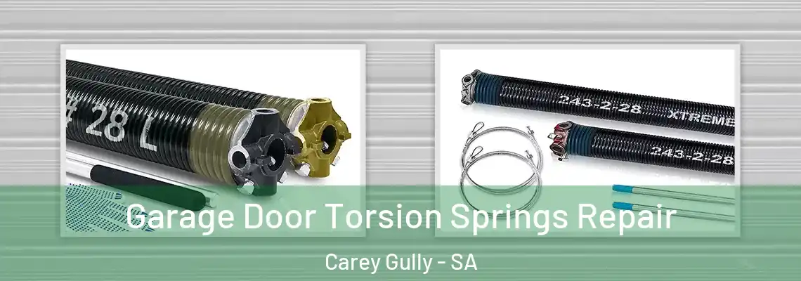  Garage Door Torsion Springs Repair Carey Gully - SA