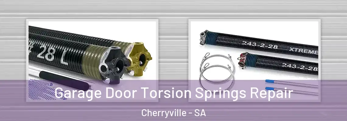  Garage Door Torsion Springs Repair Cherryville - SA